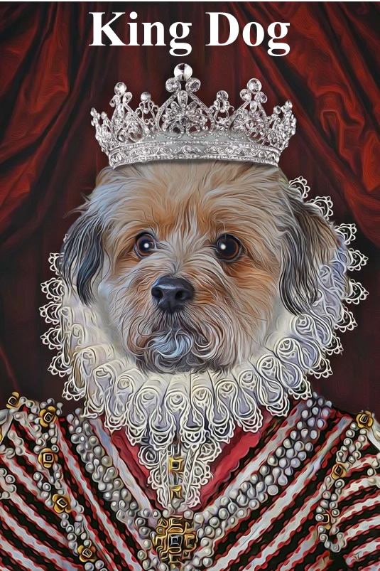 dog